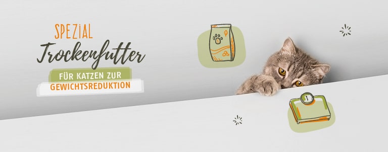 Gewicht & Krperkondition