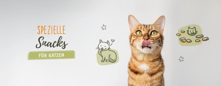 Speziell fr Katzen