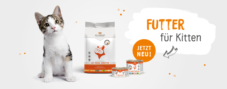Futter f�r Kitten