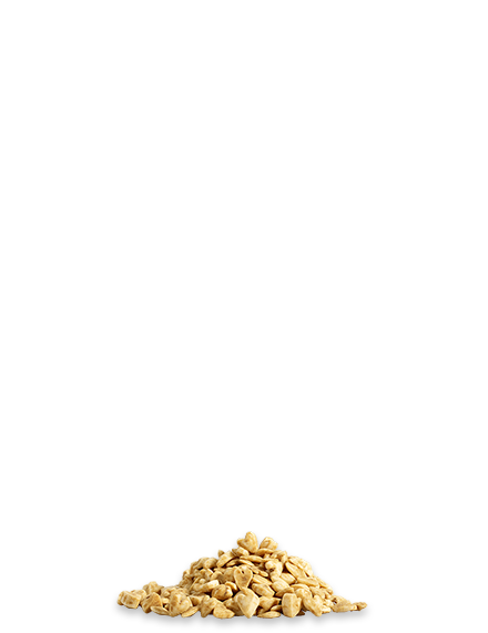 Dinkelchen Forelle, 200g