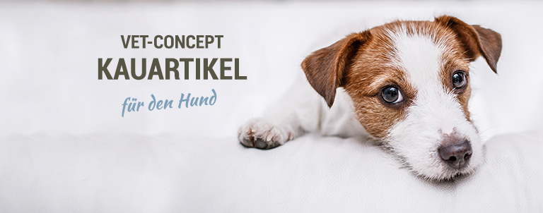 Kauartikel für Hunde Leckerlis und Snacks VetConcept