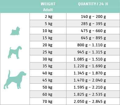 Ftterungstabelle fr Nassfutter Dog Intestinal