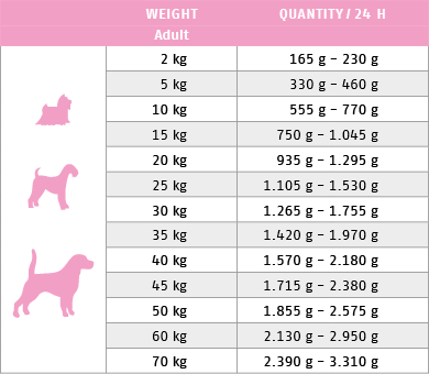 Ftterungstabelle fr Nassfutter Dog Low Carb 