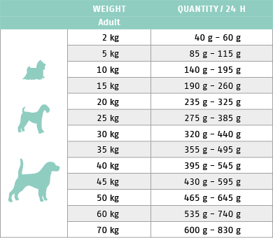 Ftterungstabelle fr Trockenfutter Hund Intestinal