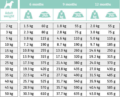 Fütterungstabelle für Trockenfutter Hund Intestinal Junior