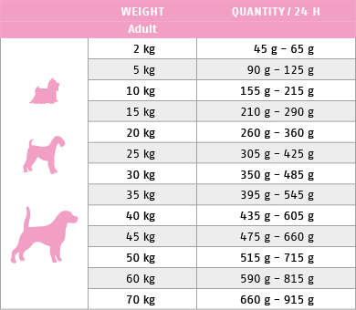 Ftterungstabelle fr Trockenfutter Hund Low Carb