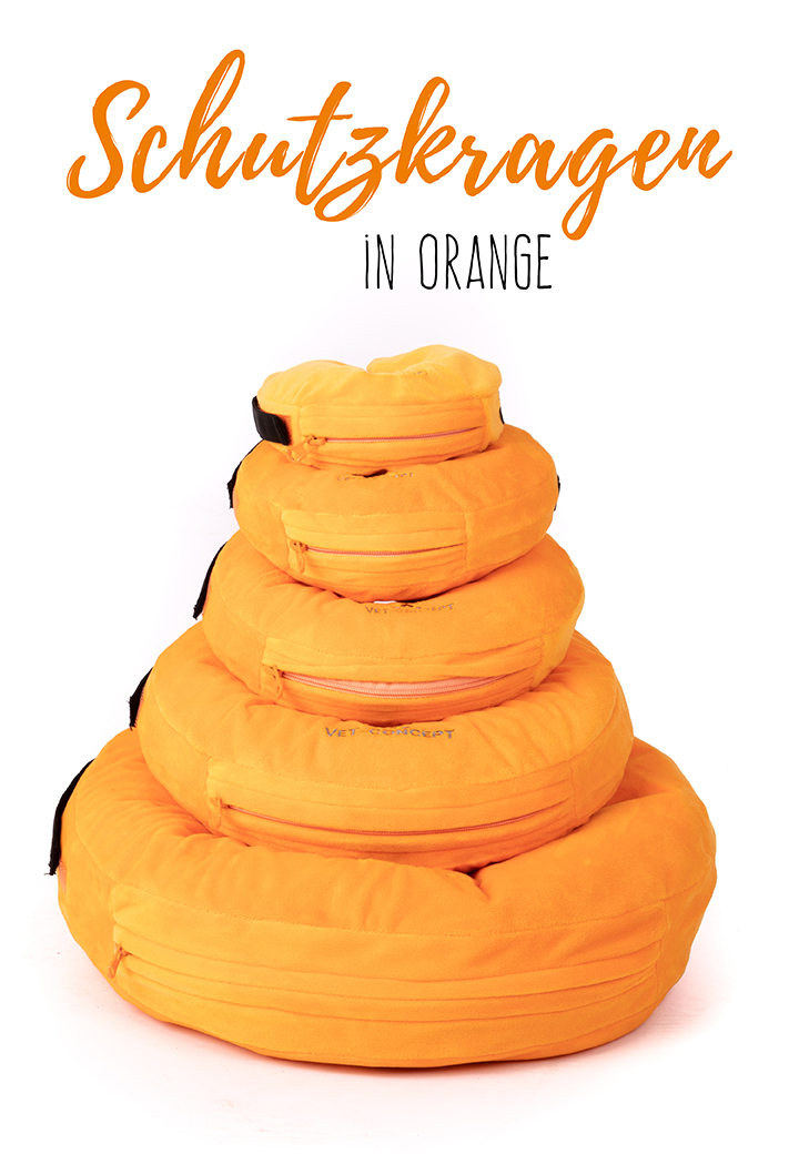 Vet-Concept Schutzkragen orange Bild 3