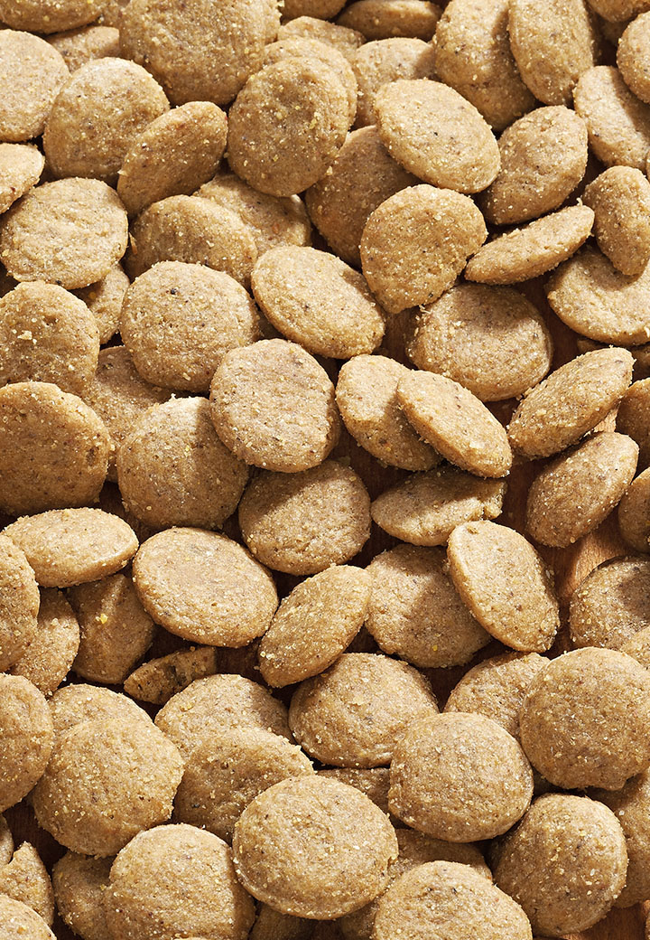 Dog Low Protein