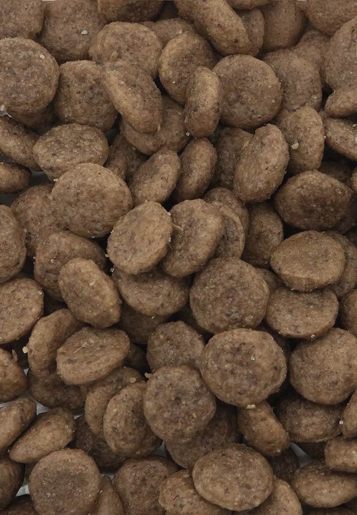 Cat Rena Care Iberico