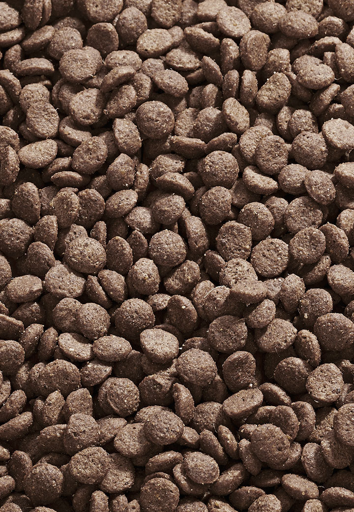 Cat Intestinal Low Fat