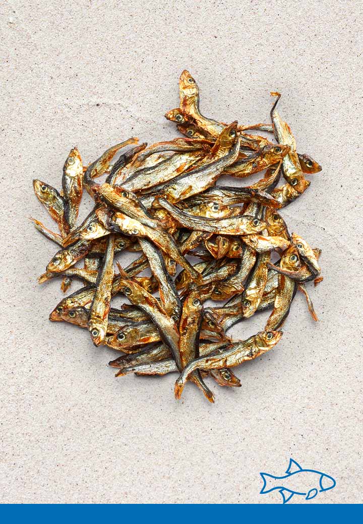 Silling, 200g Kauartikel FÜR DEN HUND