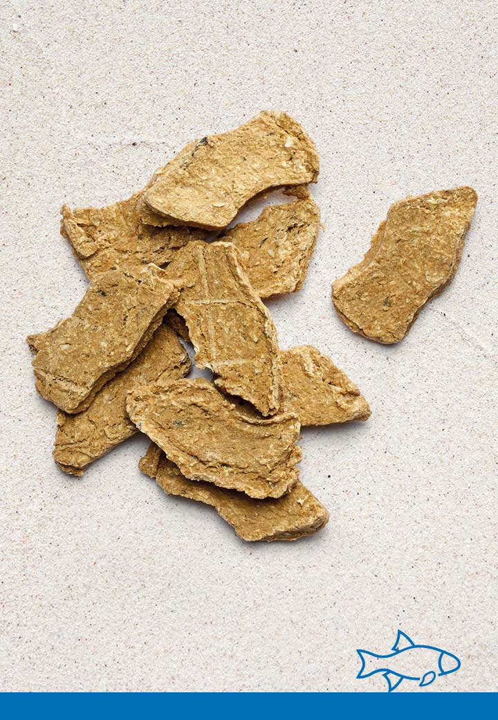 Fisch Nuggets 100g Fur Den Hund Von Vet Concept