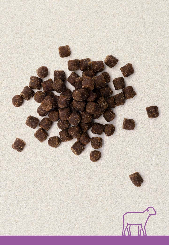 Knabberwolkchen Lamm 100g Fur Den Hund Von Vet Concept