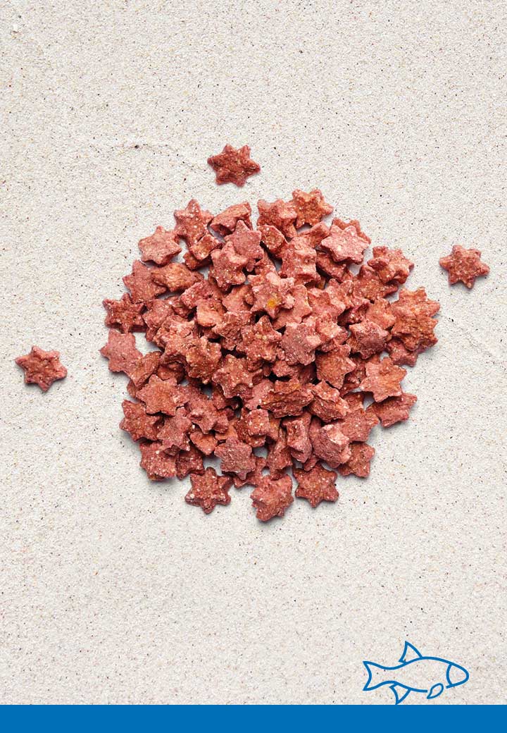 Lachs Sternchen 100g Fur Den Hund Von Vet Concept