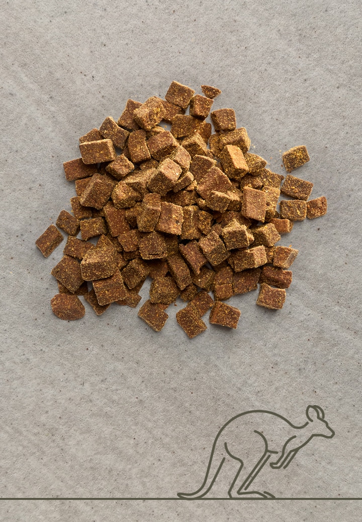Kangurufleisch Leckerchen 100g 250g 1000g Fur Den Hund Von Vet Concept