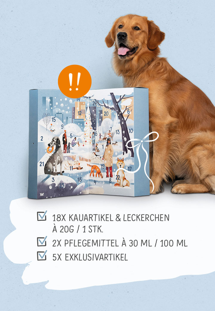 Hunde Adventskalender Kaninchen Hirsch Bild 3
