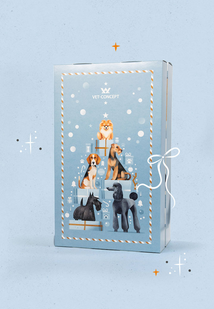 Hunde Adventskalender Fisch Bild 2