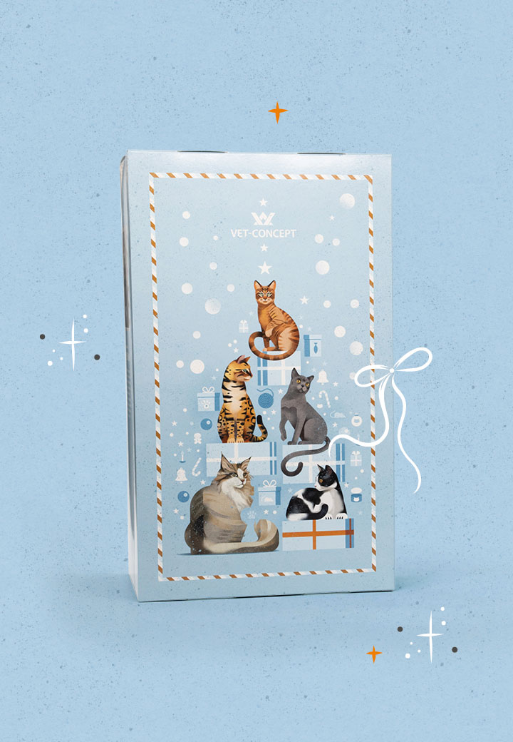 Katzen Adventskalender Fisch Bild 2