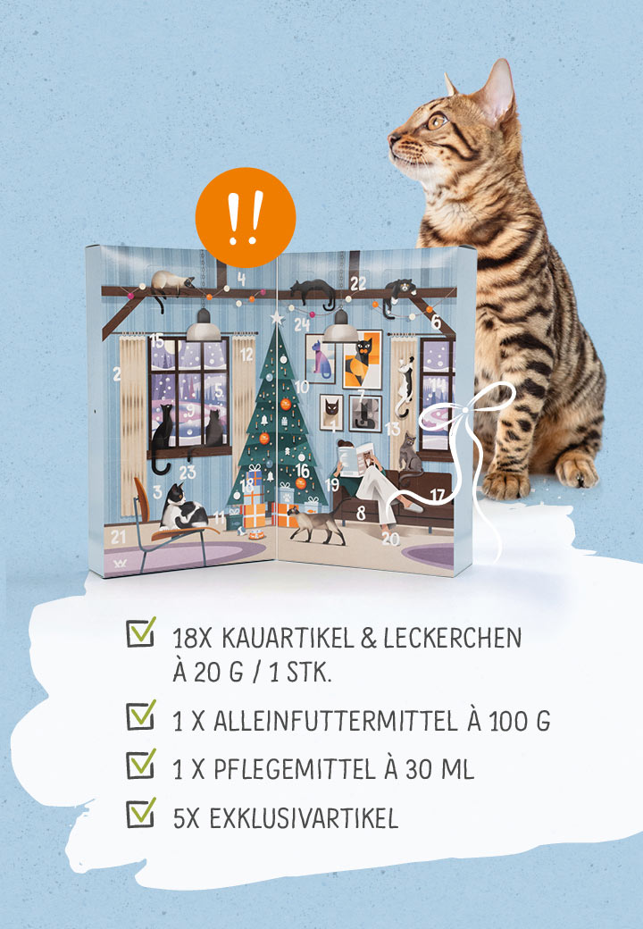 Katzen Adventskalender Fisch Bild 3