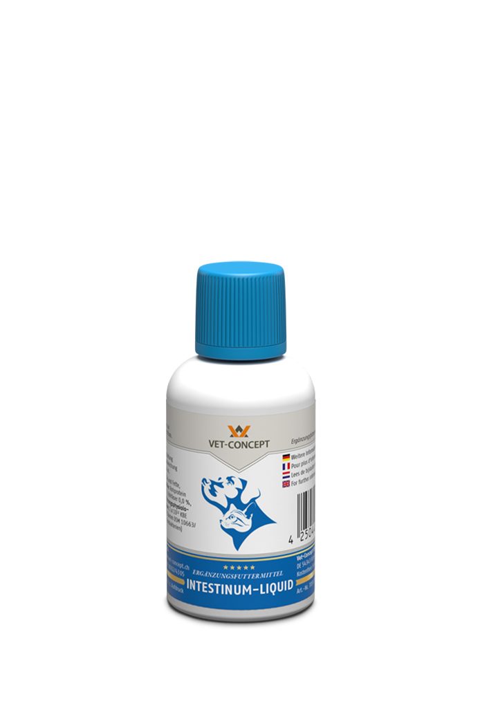 Intestinum Liquid 30ml Fur Den Hund Von Vet Concept