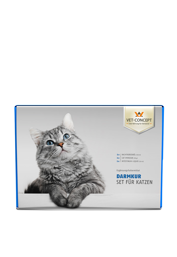 darmkur fur die katze fur die katze von vet concept
