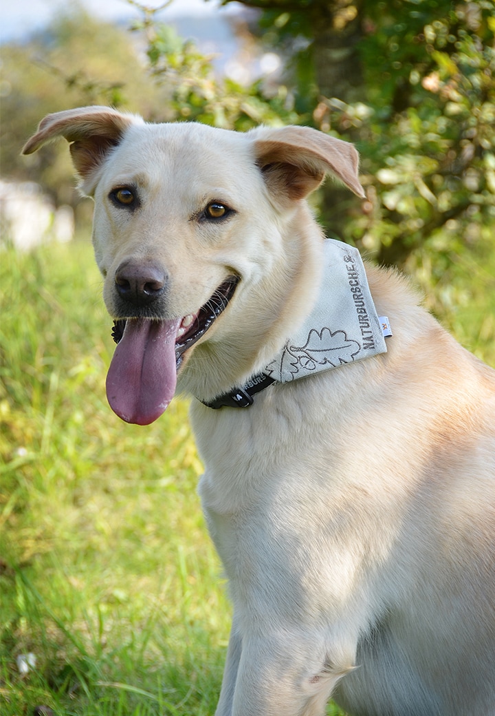 Adelheid Halsband mit Tuch Naturbursche