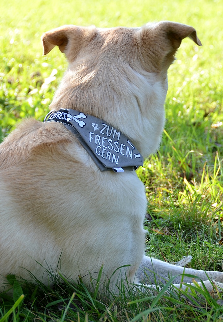 Adelheid Halsband mit Tuch Zum Fressen gern