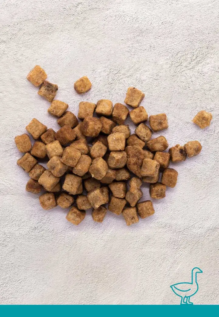 Gaensefleisch-Leckerchen, 100g, 250g, 1000g