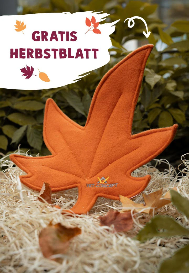 Herbstblatt orange