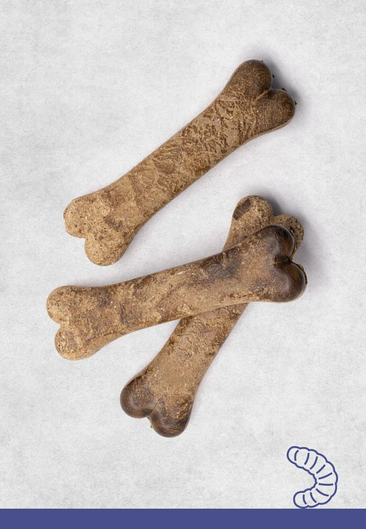 Hermetia-Knochen, 3 Stk. a 12 cm, 15 cm