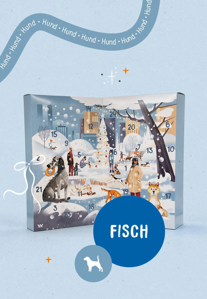 Hunde Adventskalender Fisch