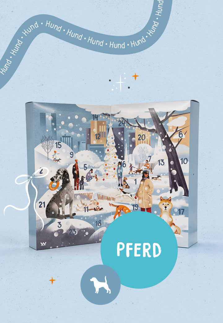 Hunde Adventskalender Pferd