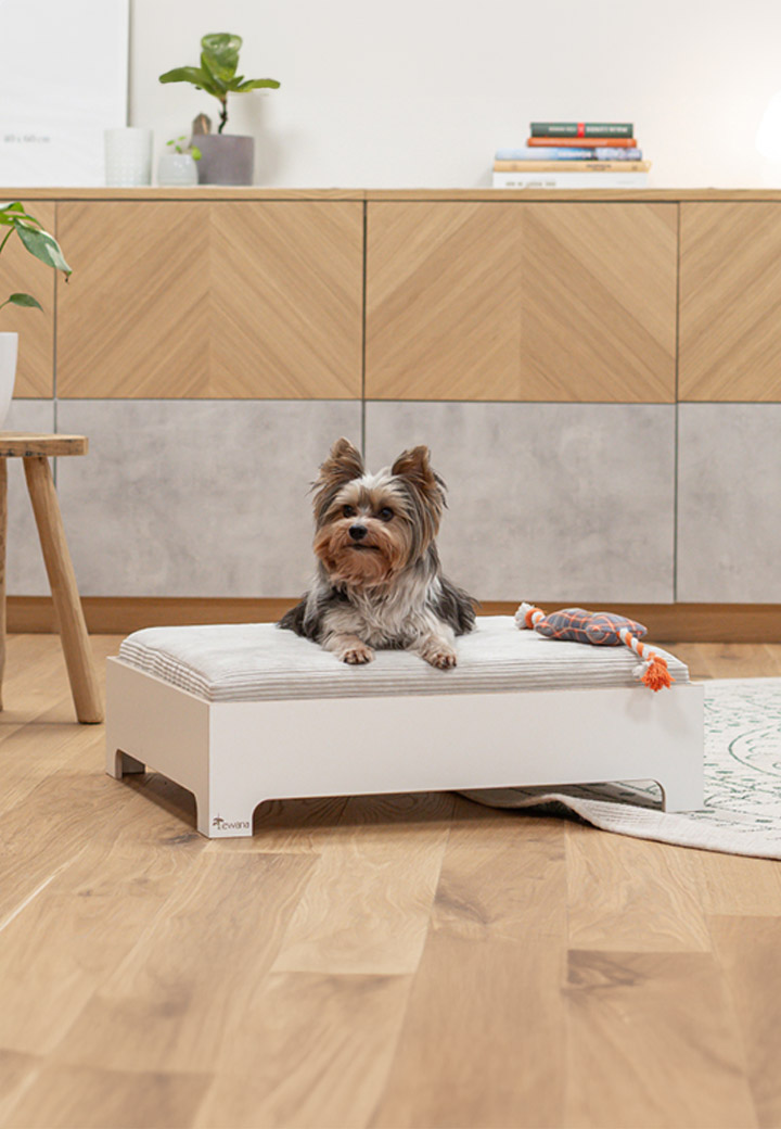 Lewana Hundebett Loft S beige