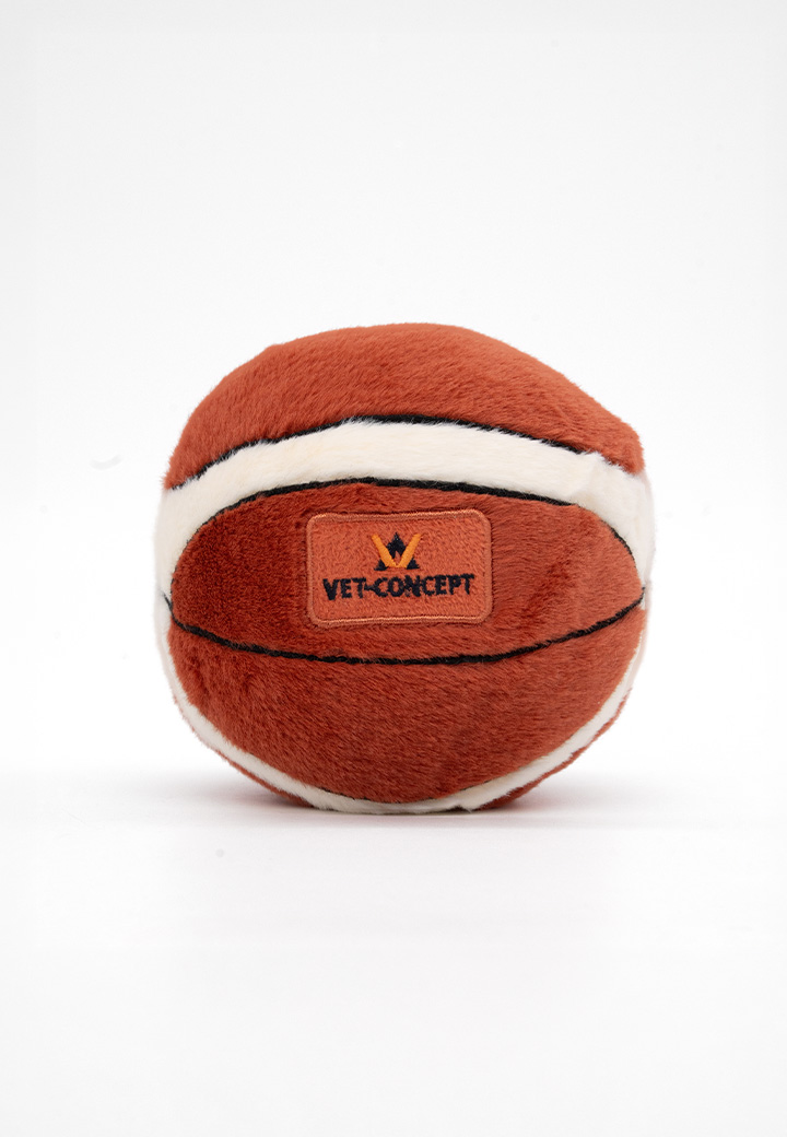 Pl�sch-Basketball