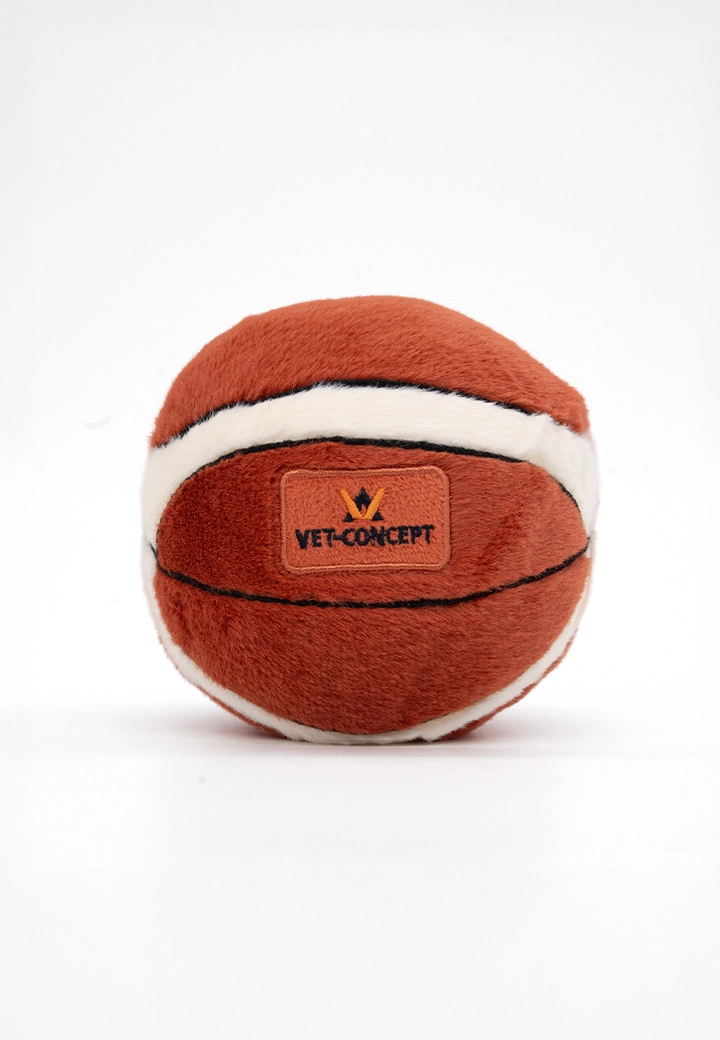 Pl�sch-Basketball