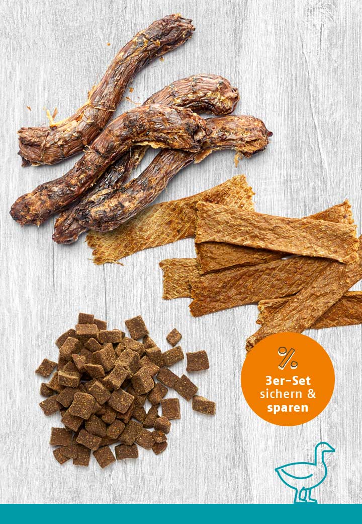 Snack-Bundle-Hund ENTE