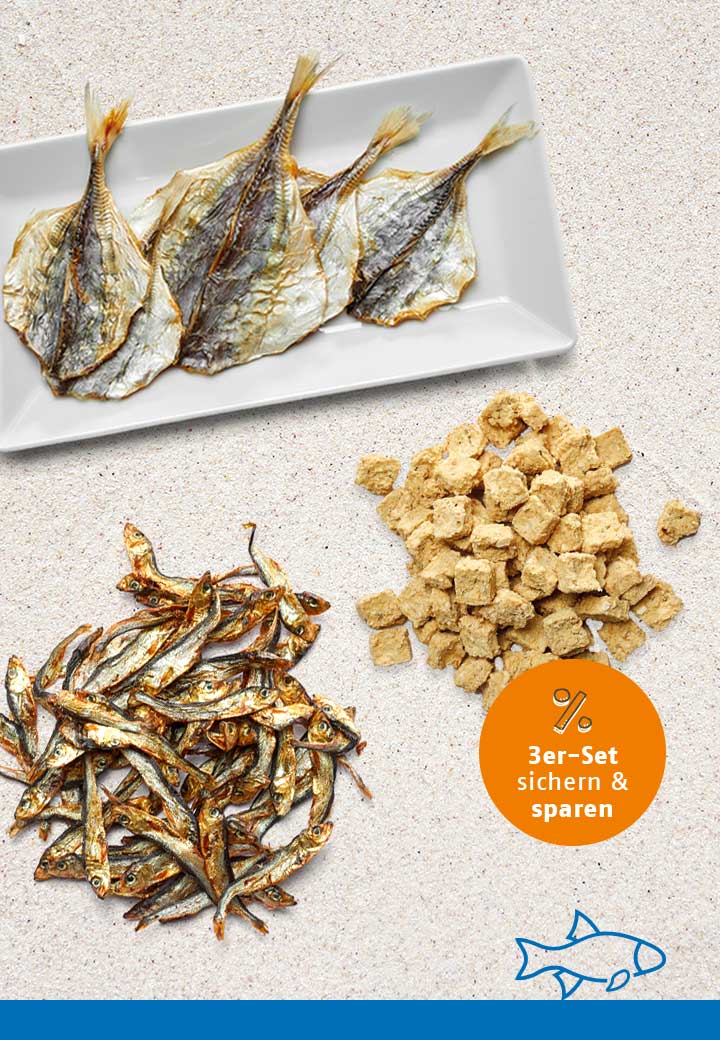 Snack-Bundle-Katze FISCH