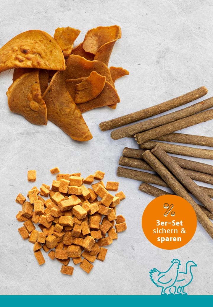 Snack-Bundle-Katze GEFL�GEL