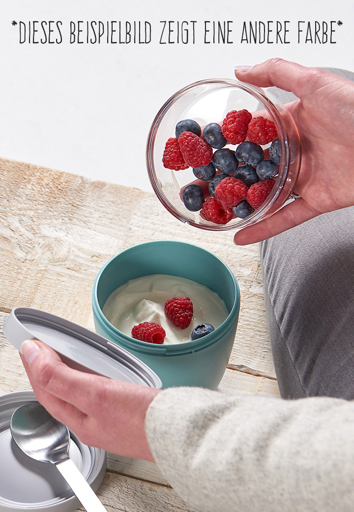 Mepal Lunchpot Ellipse - Nordic sage