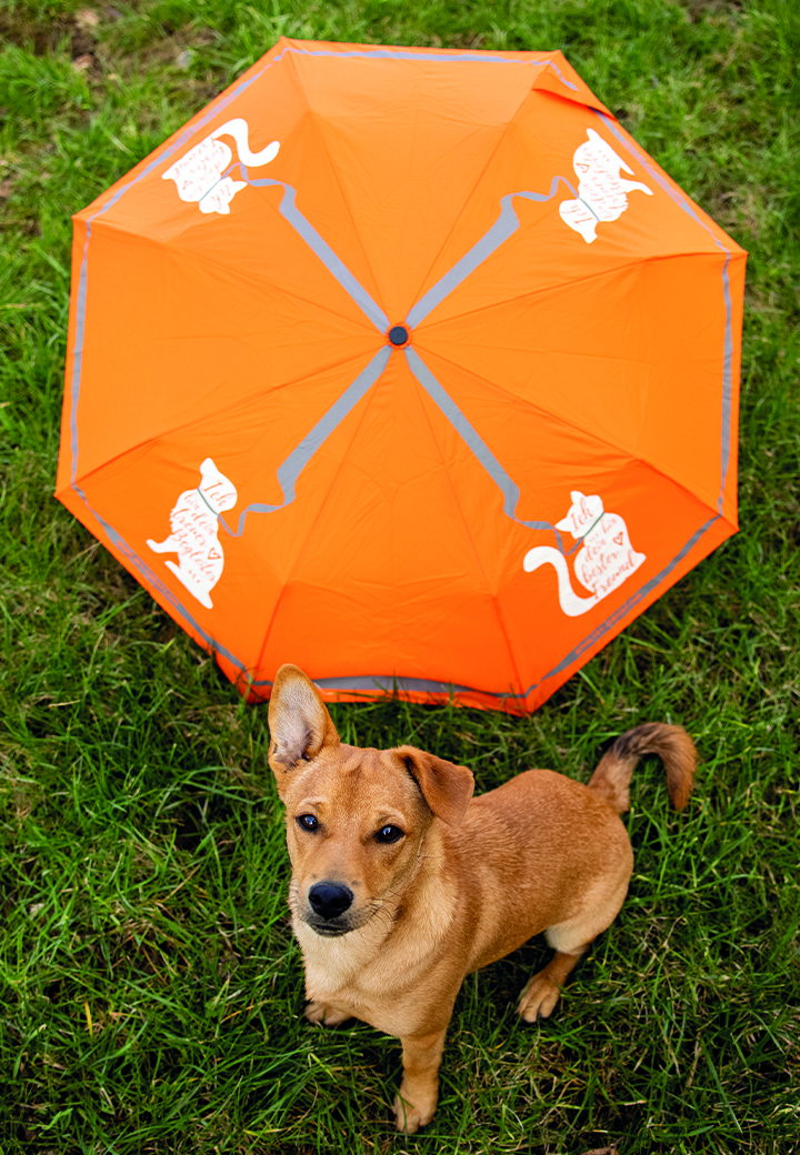 Vet-Concept Regenschirm Bild 5