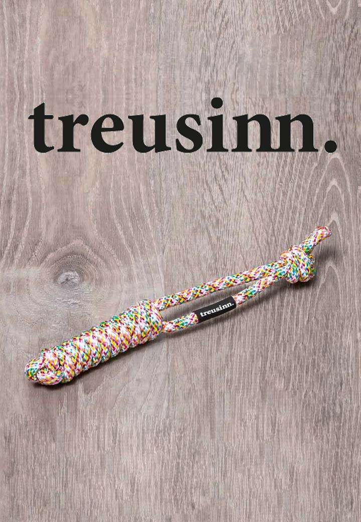 TREUSINN Hundespielzeug Original Spiely mini Bild 2