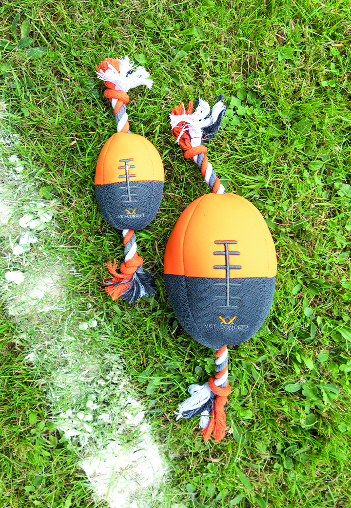 Vet-Concept Football Bild 2