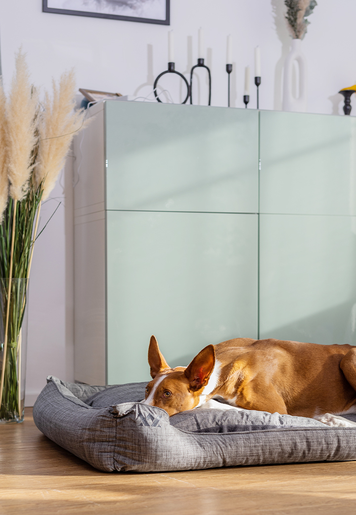Vet-Concept Hundebett