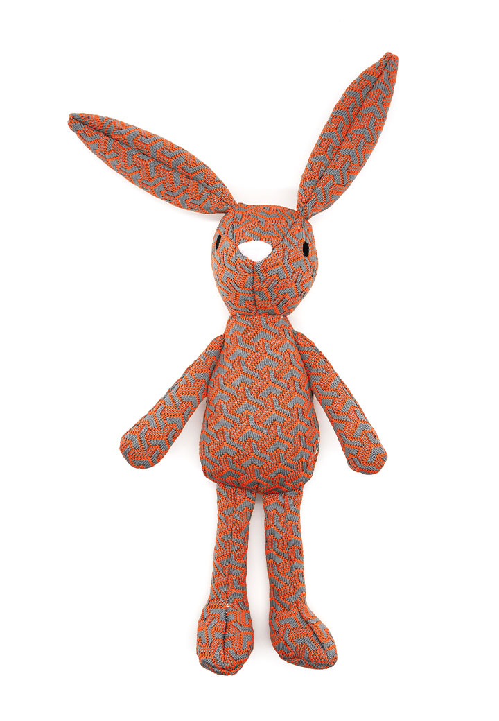 Hase Harry Bild 2