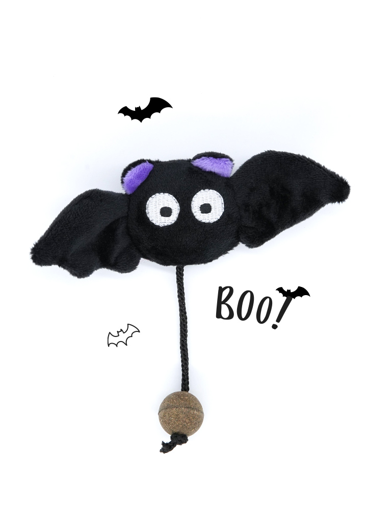 Fledermaus Josy