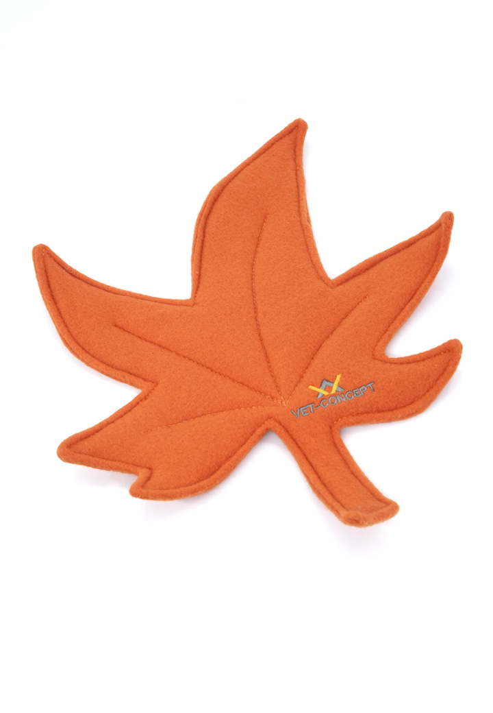 Herbstblatt orange