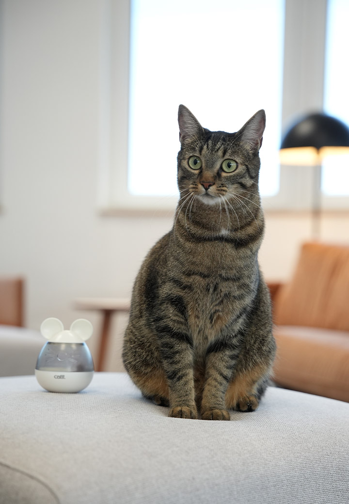 Catit Leckereienspender, Maus Bild 5