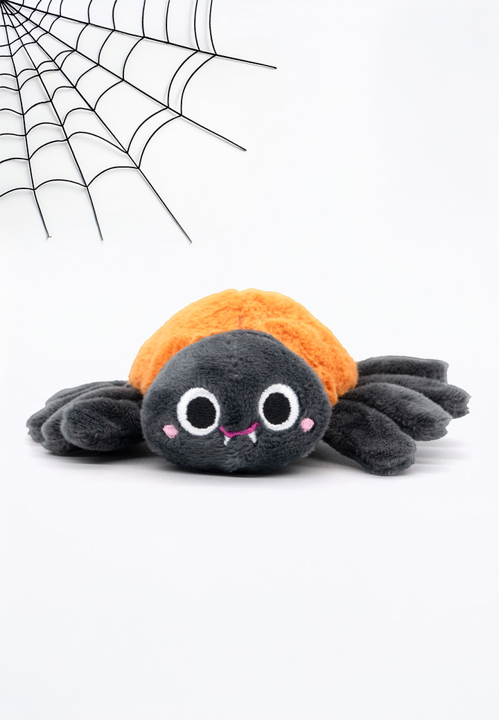 Spinne Kathi Bild 2