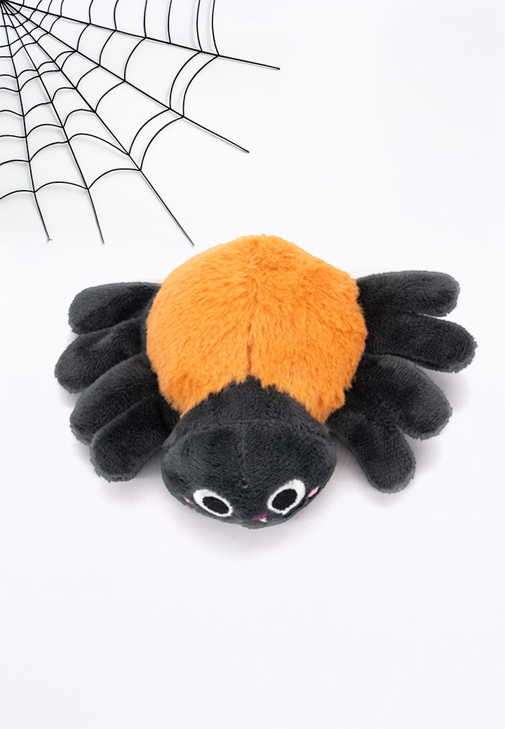 Spinne Kathi Bild 3