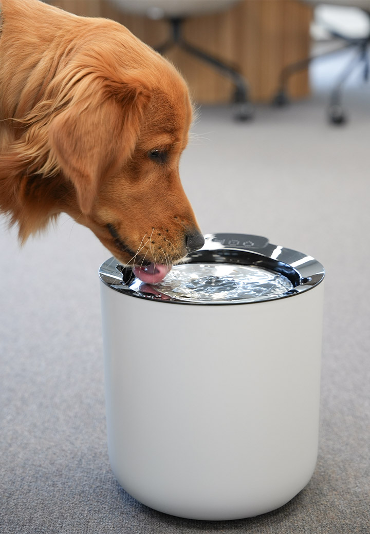 Zeus Oasis plus smarter Trinkbrunnen f�r Hunde Bild 2